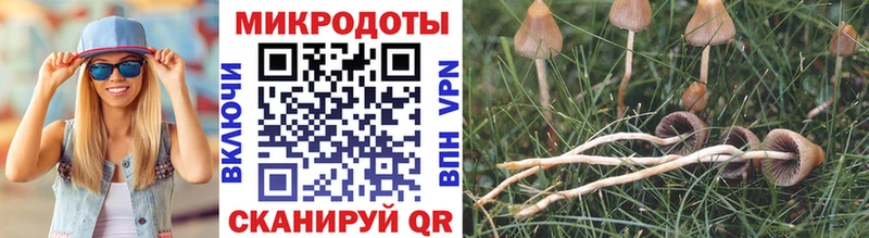 Псилоцибиновые грибы мицелий  Купить где  Пучеж 